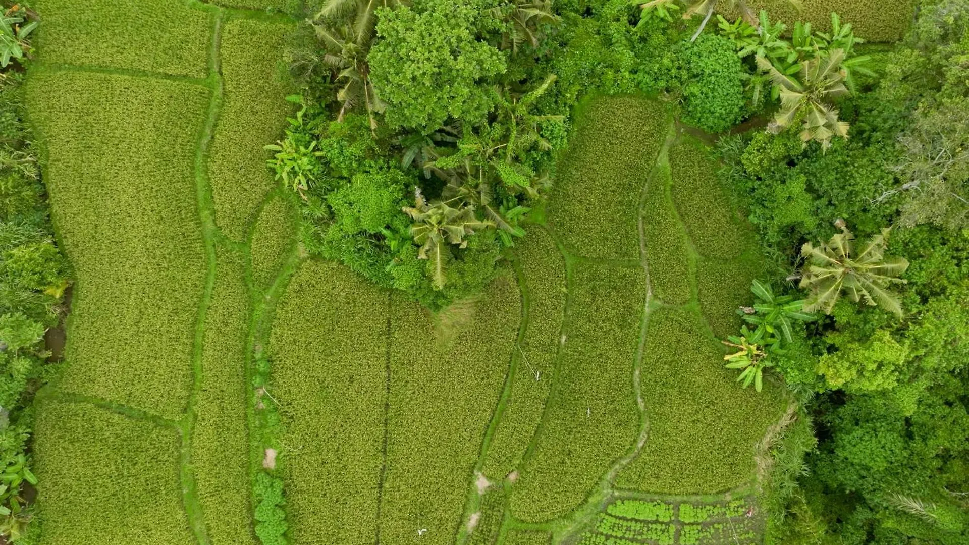 Garden Villas Ubud By Breig